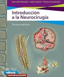 Introducción a la Neurocirugía, 3rd Edition (EPUB)