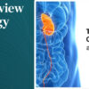 MER Primary Care Conferences Internal Medicine for Primary Care Geri Pain Rheum Jul 17-19, 2026