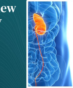 Harvard Intensive Review of Nephrology 2026