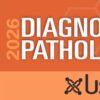 The Osler Otolaryngology Subscription-Based Review 2026