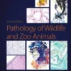 BSAVA Small Animal Formulary, Part A: Canine and Feline, 12th Edition (PDF)