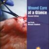 Statistics for Evidence-Based Practice in Nursing, 4th Edition (PDF)
