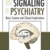 Bipolar Depression: A Comprehensive Guide (PDF)